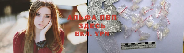 гашик Абаза