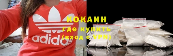 амф Пестово