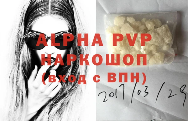 амф Пестово