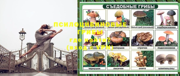 амф Пестово