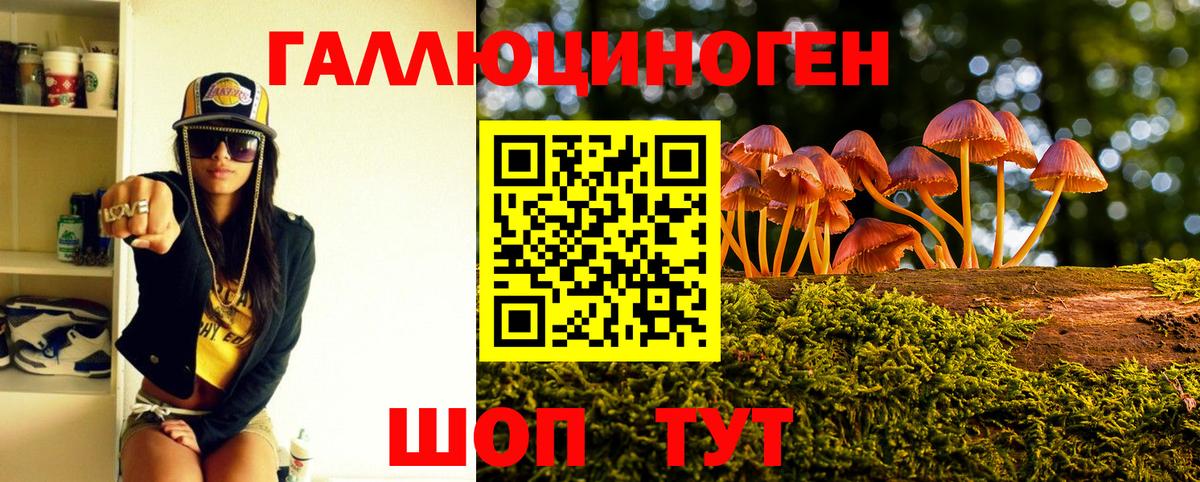 Псилоцибиновые грибы Psilocybe  наркотики  Благодарный  Галлюциногенные грибы Psilocybe  Вход с VPN 